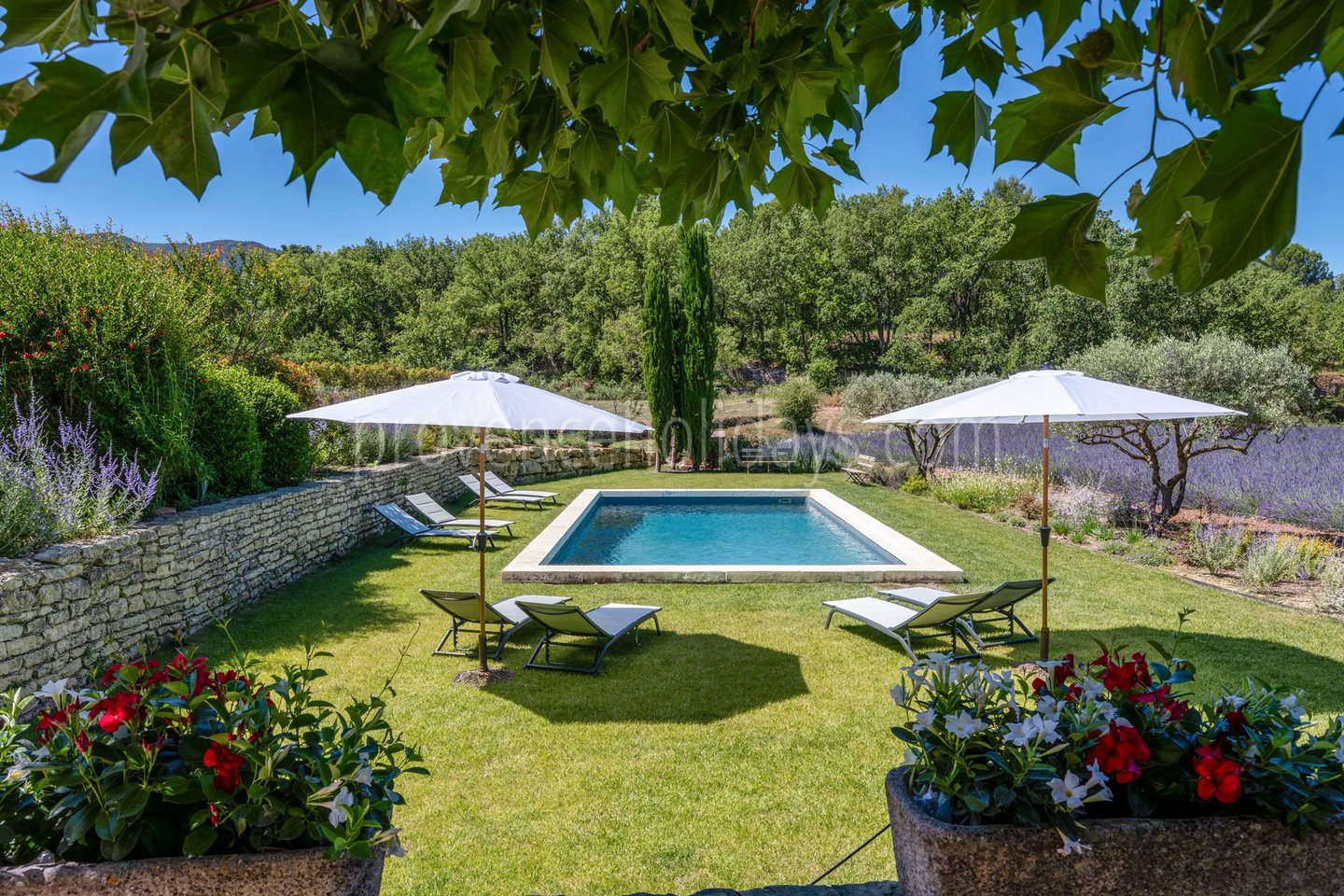 12 - Mas Florence: Villa: Pool