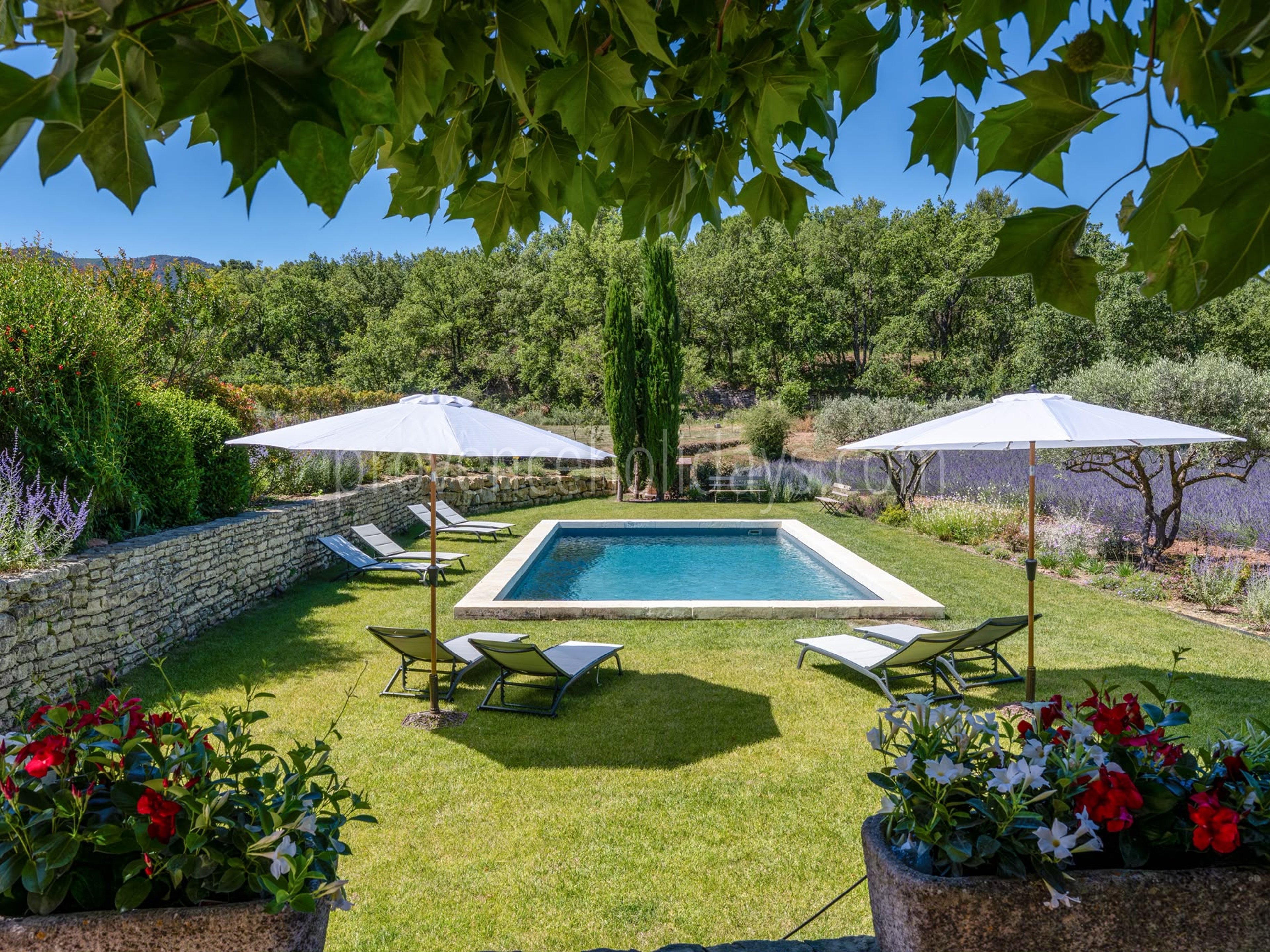 12 - Mas Florence: Villa: Pool
