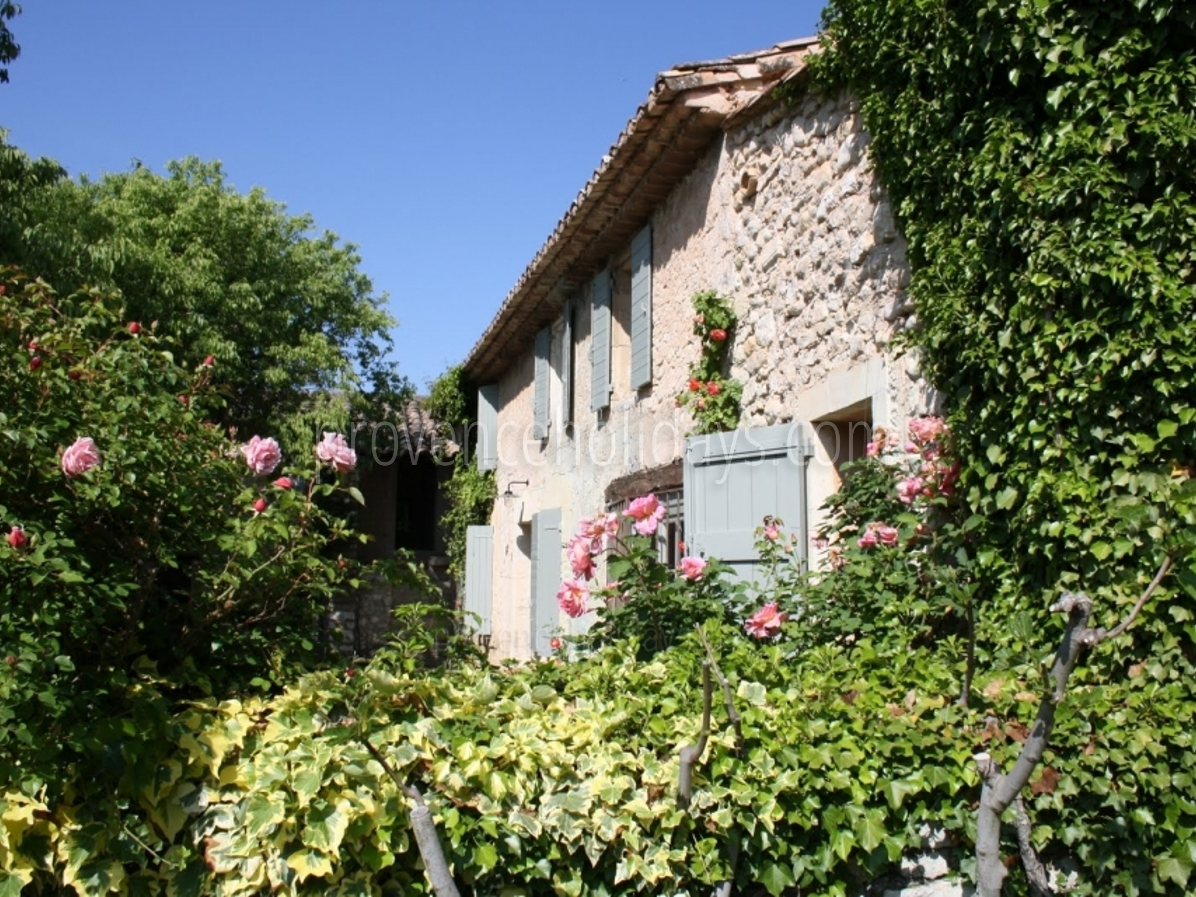 38 - Mas des Lavandes: Villa: Exterior