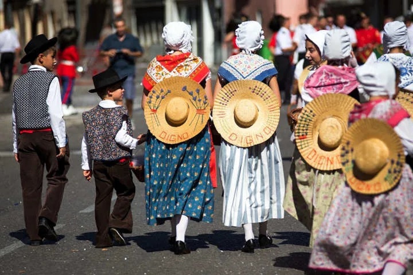 lavendar festival