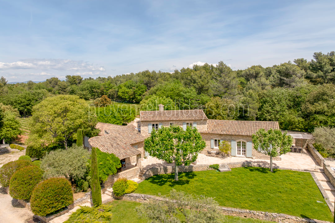 6 - Maison Eden: Villa: Exterior
