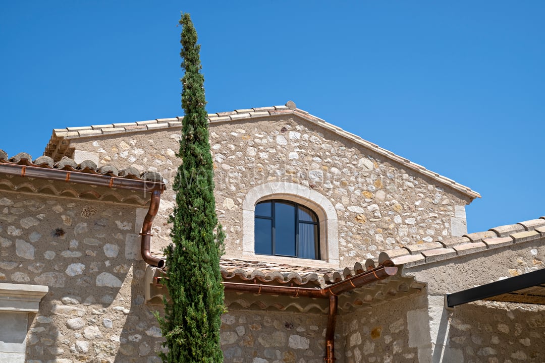 175 - Le Loup des Alpilles: Villa: Exterior
