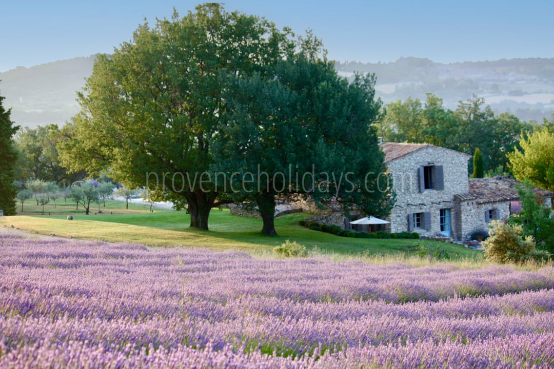 50 - Le Mas de Murs: Villa: Exterior