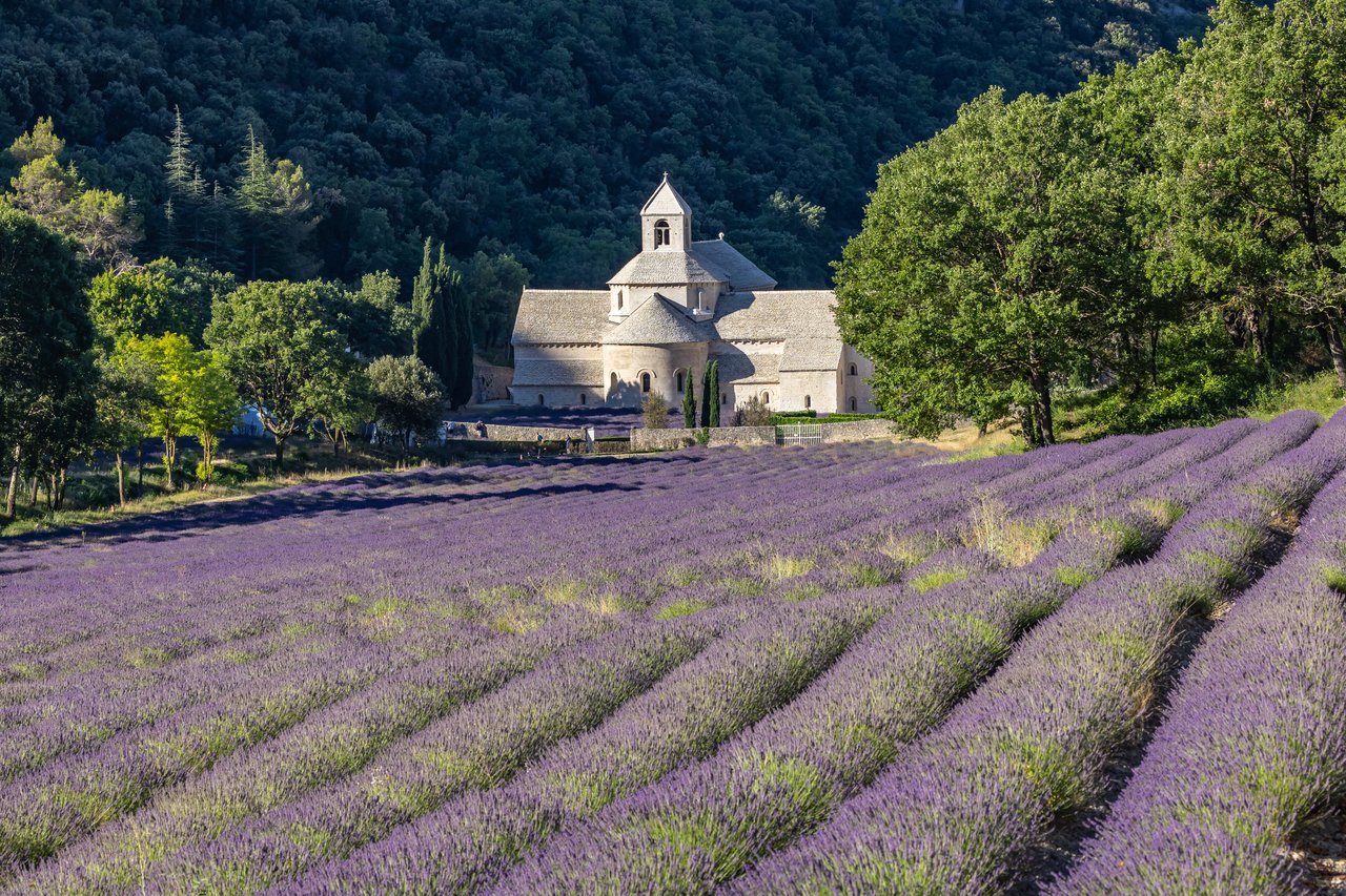 Abbaye de Sénanque à Gordes