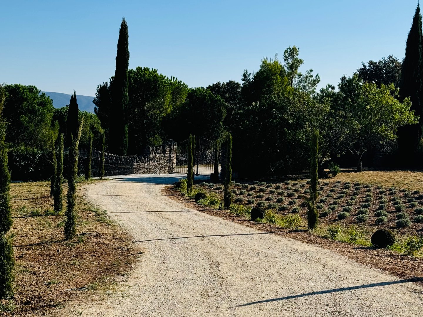 6 - Domaine des Lys: Villa: Exterior
