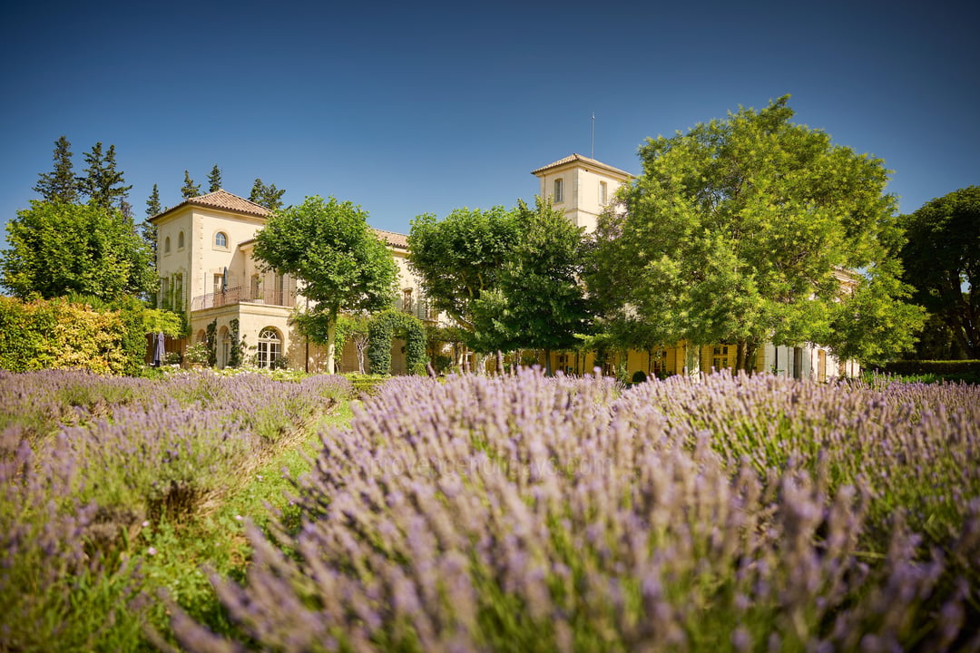 Een kasteel in de Provence 6 - Le Château: Villa: Exterior
