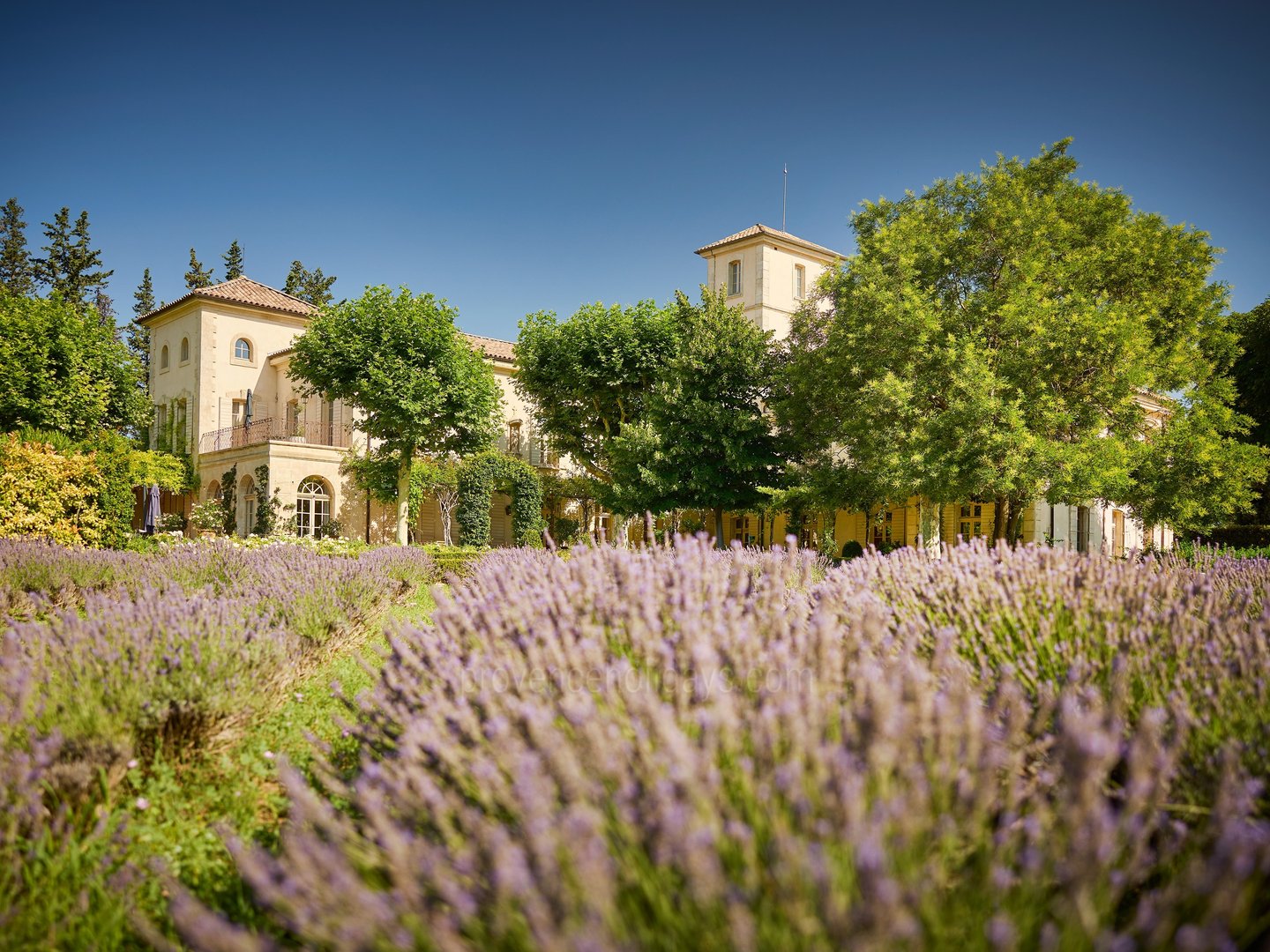 6 - Le Château: Villa: Exterior