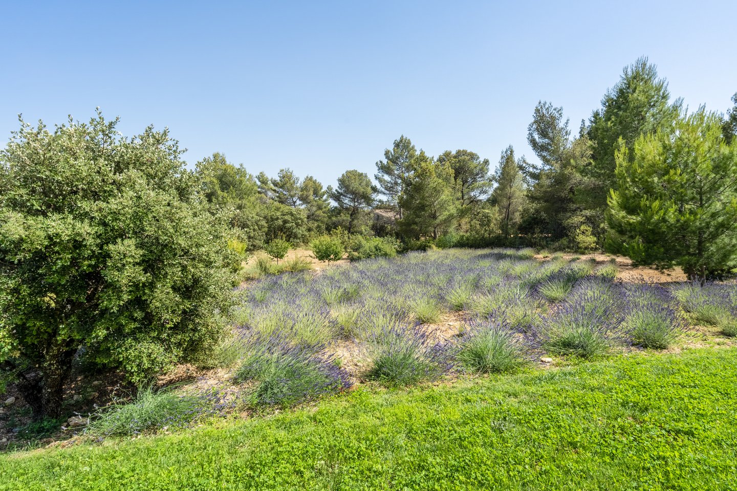 5 - Maison Poulinas: Villa: Exterior