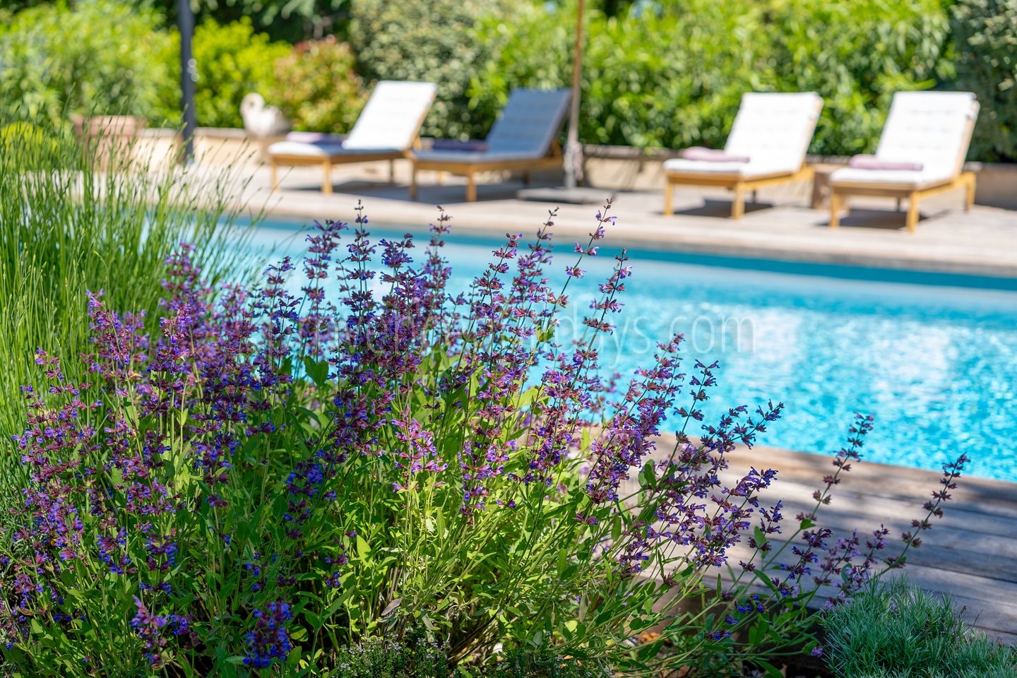 6 - La Chapelle Saint-Pons: Villa: Pool