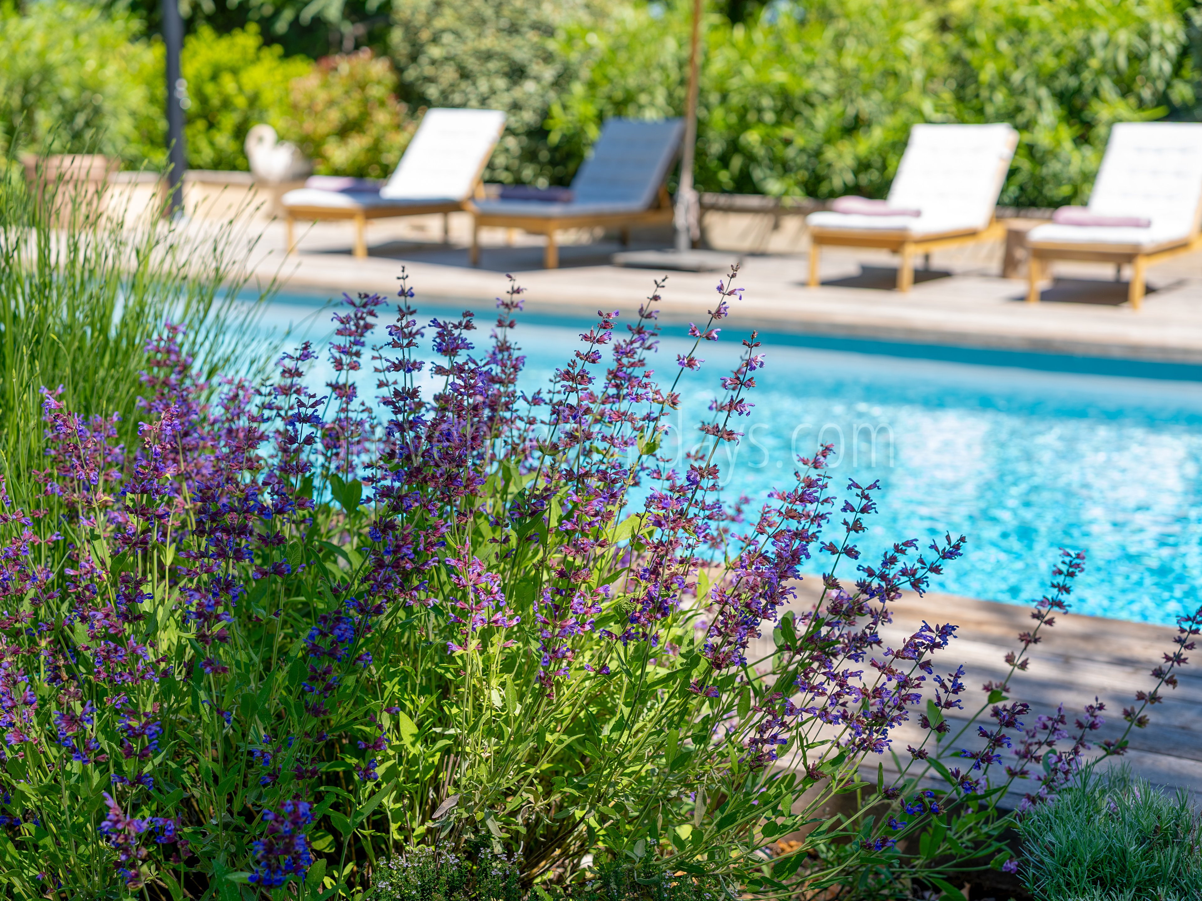 6 - La Chapelle Saint-Pons: Villa: Pool