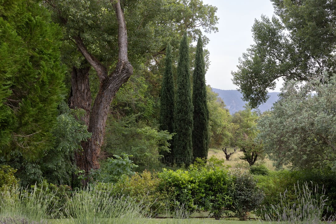 34 - Mas des Sources: Villa: Exterior