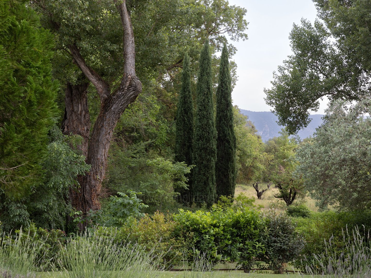 34 - Mas des Sources: Villa: Exterior
