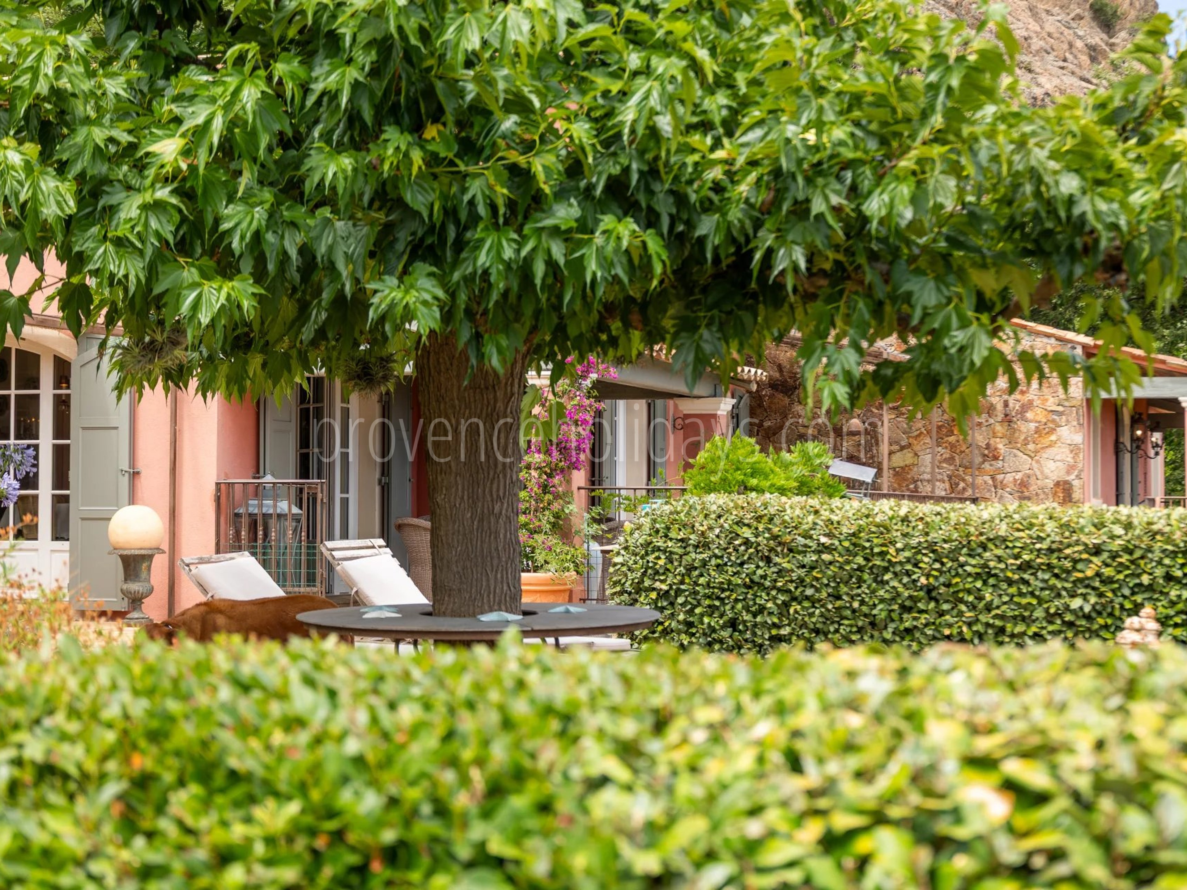 49 - Villa with sauna in La Garde-Freinet: Villa: Exterior