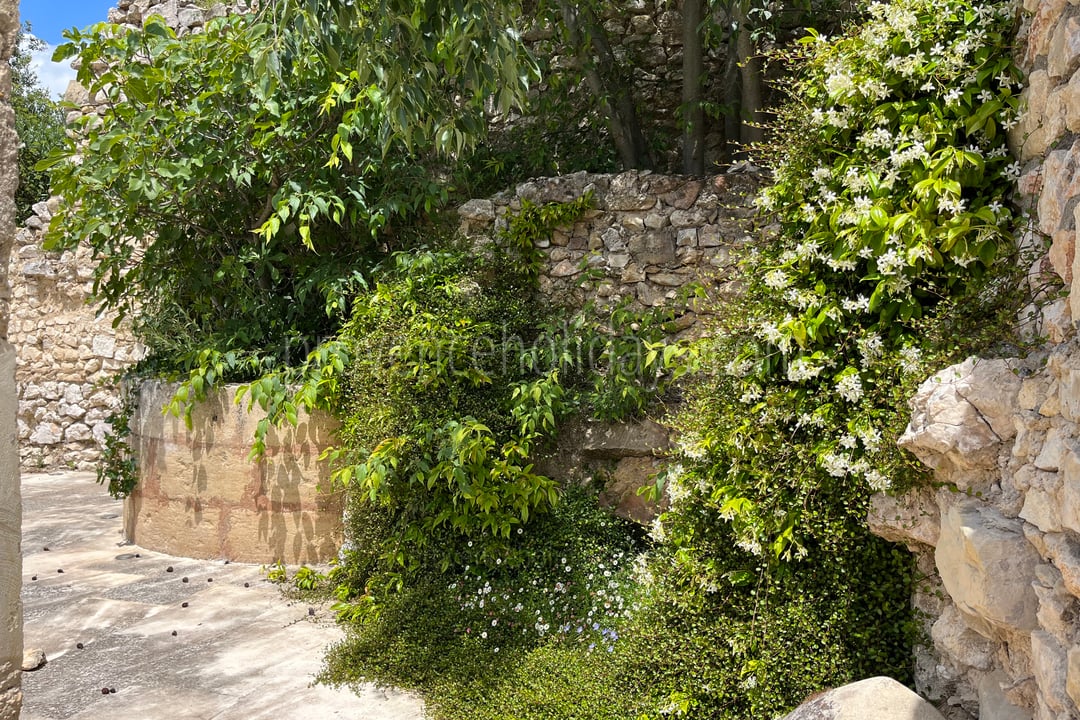 58 - Mas des Baux: Villa: Exterior