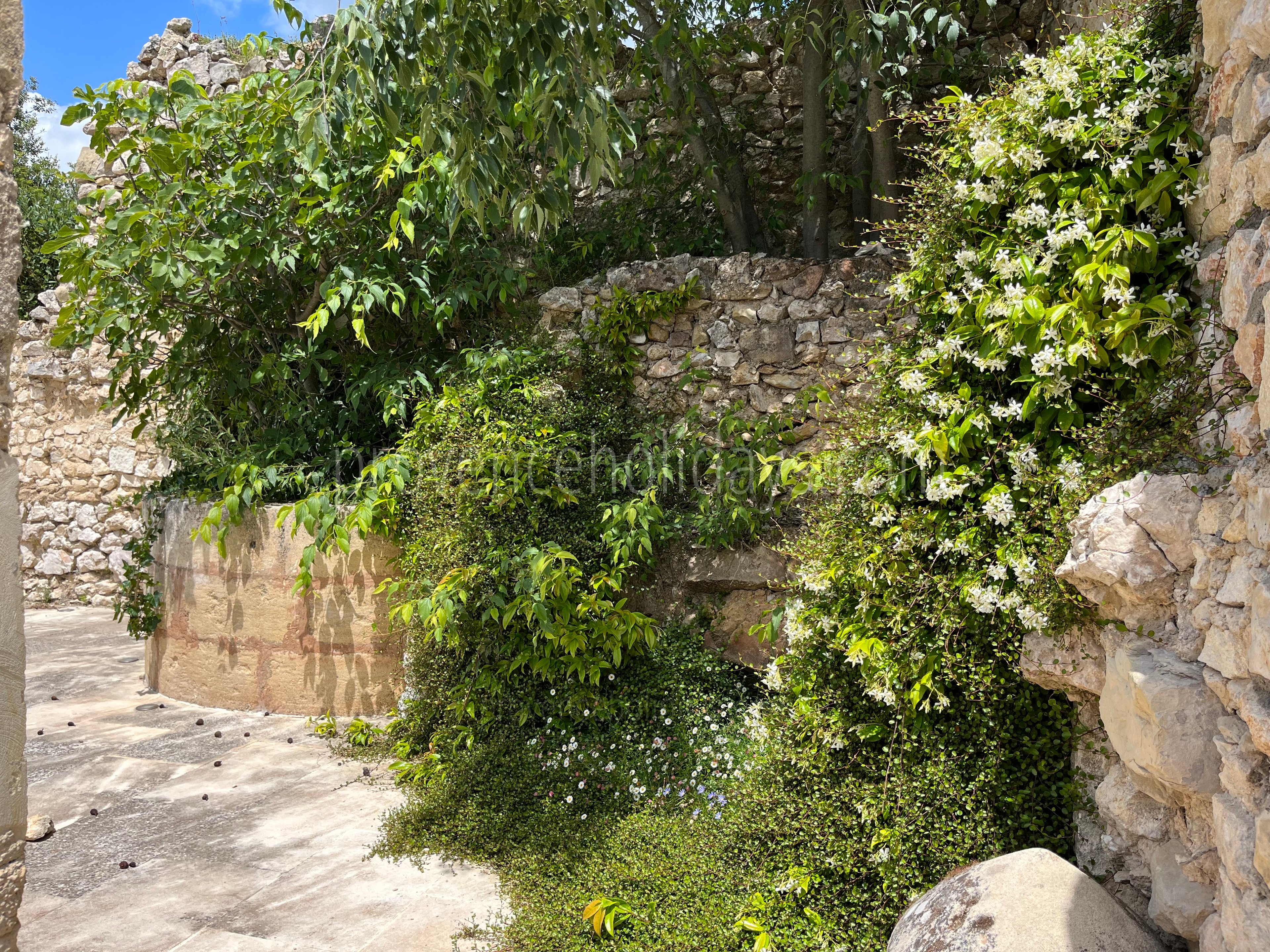 58 - Mas des Baux: Villa: Exterior