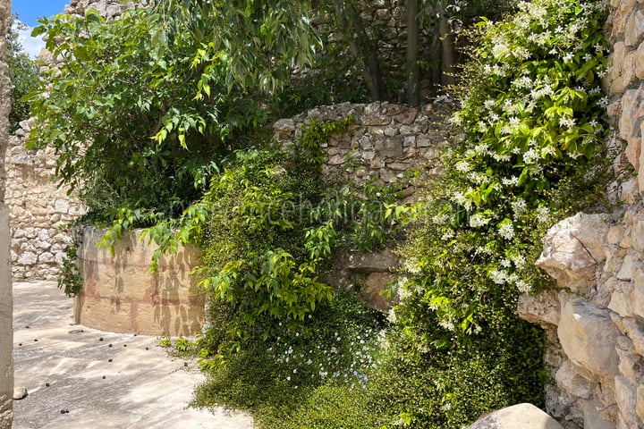 58 - Mas des Baux: Villa: Exterior