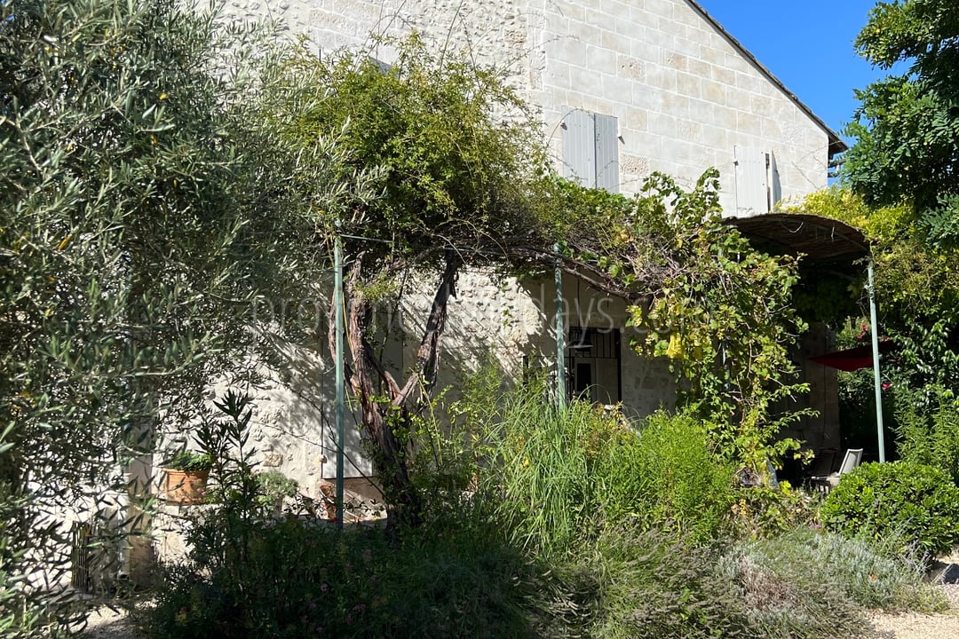42 - Villa Ella: Villa: Exterior