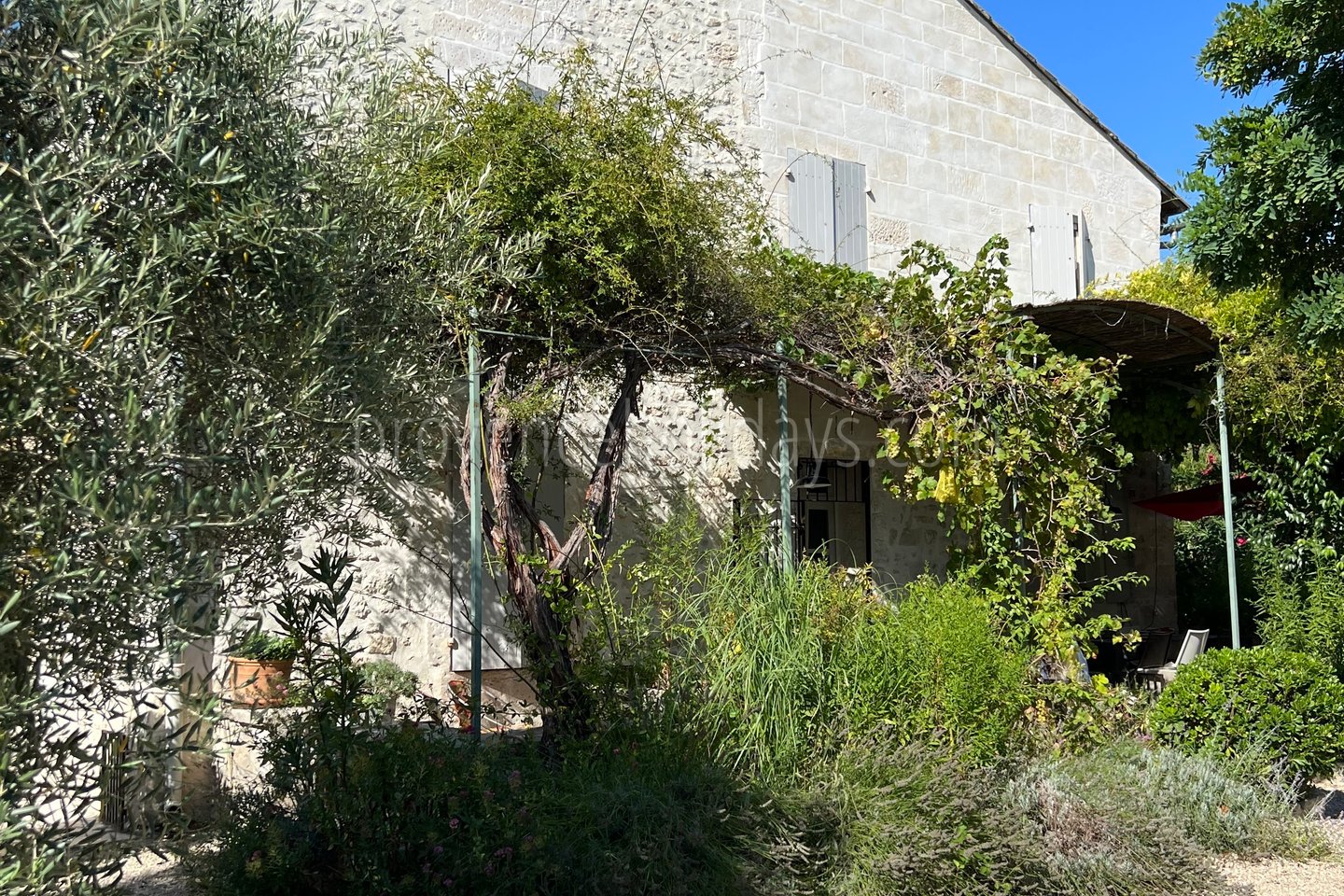 42 - Villa Ella: Villa: Exterior