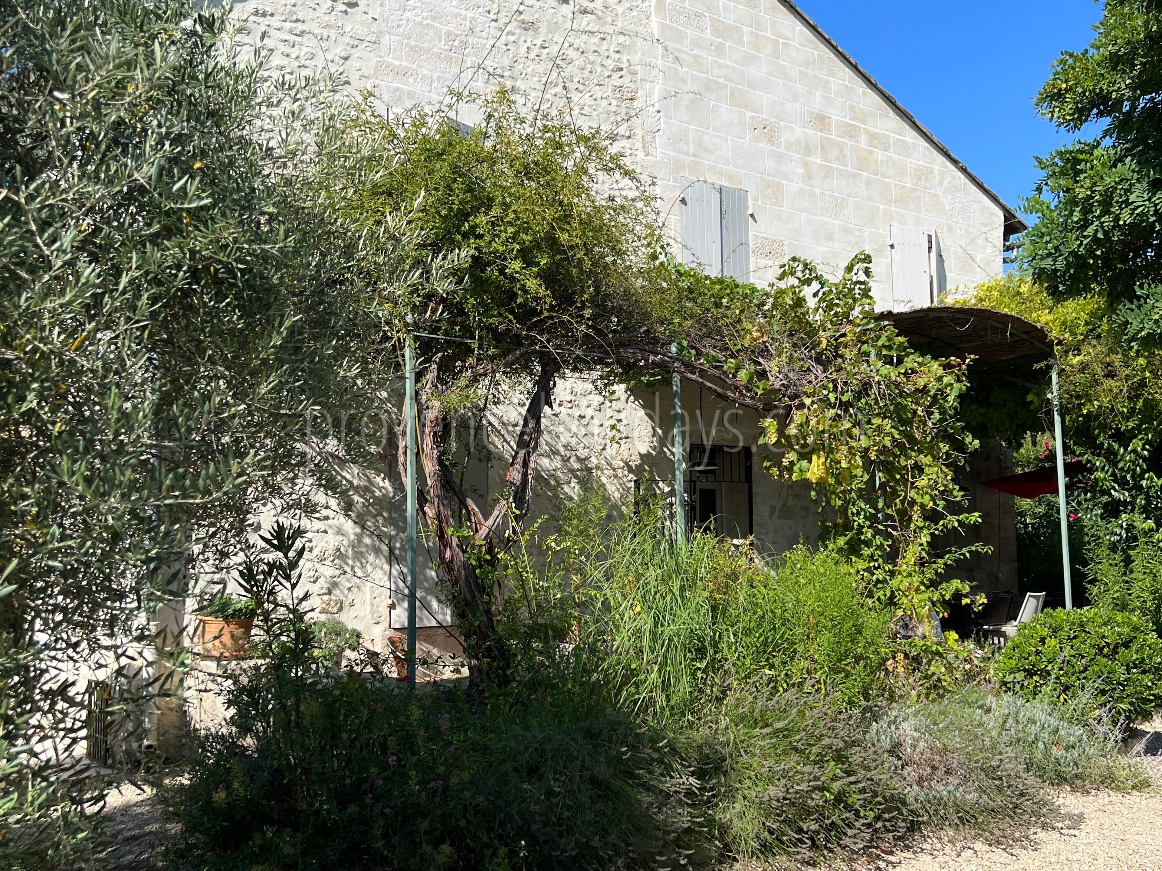 42 - Villa Ella: Villa: Exterior