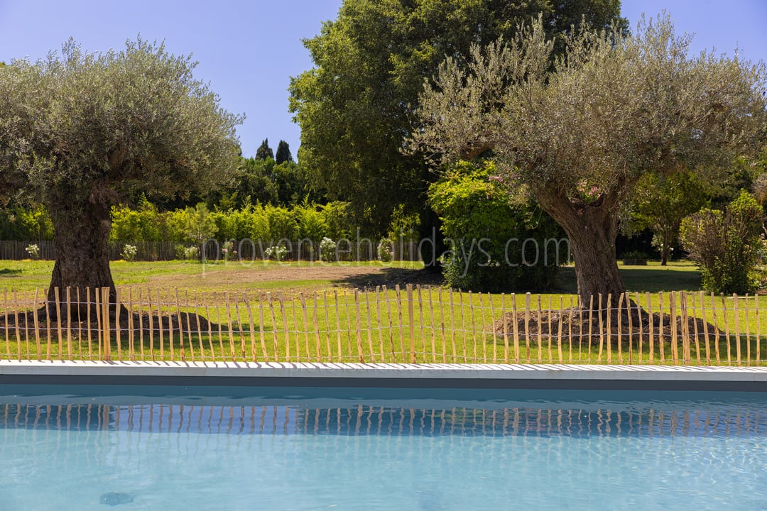 21 - Le Mas Seren: Villa: Pool