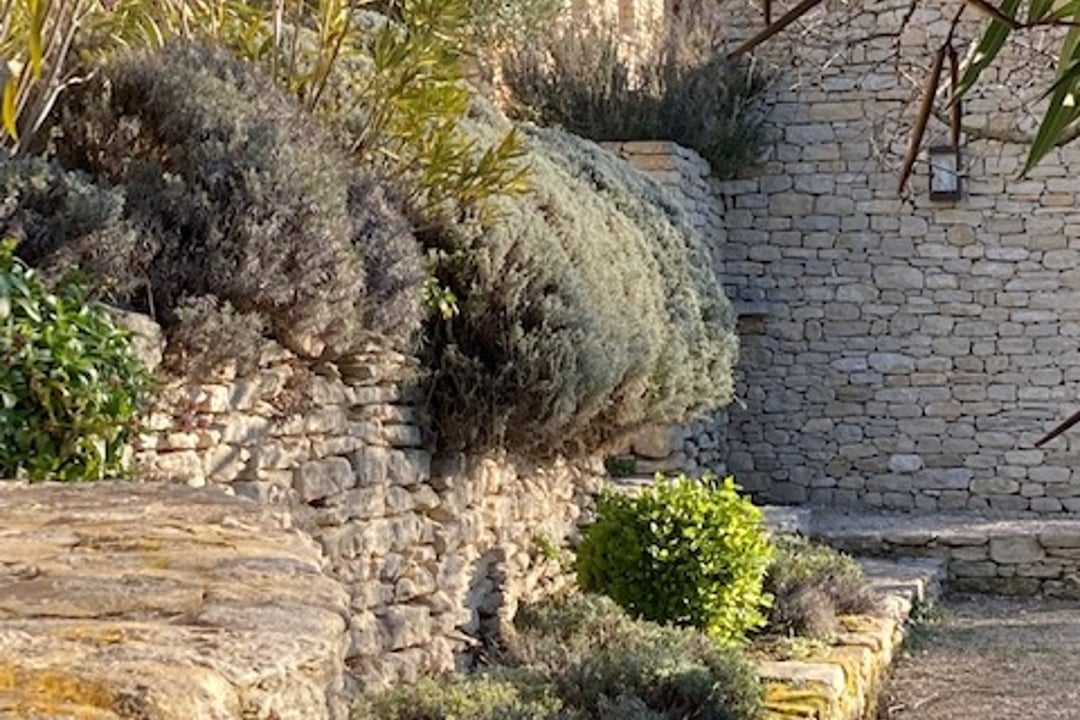38 - Le Petit Paradis: Villa: Exterior