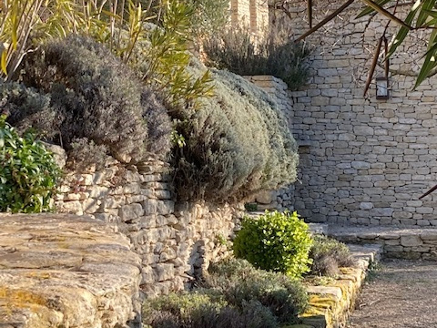 38 - Le Petit Paradis: Villa: Exterior