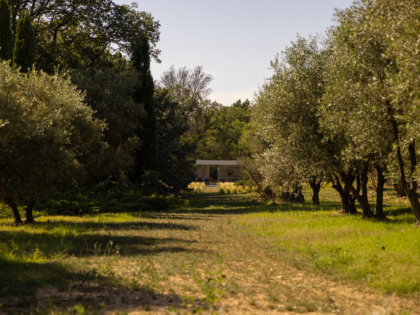 57 - Grand Mas de Provence: Villa: Exterior