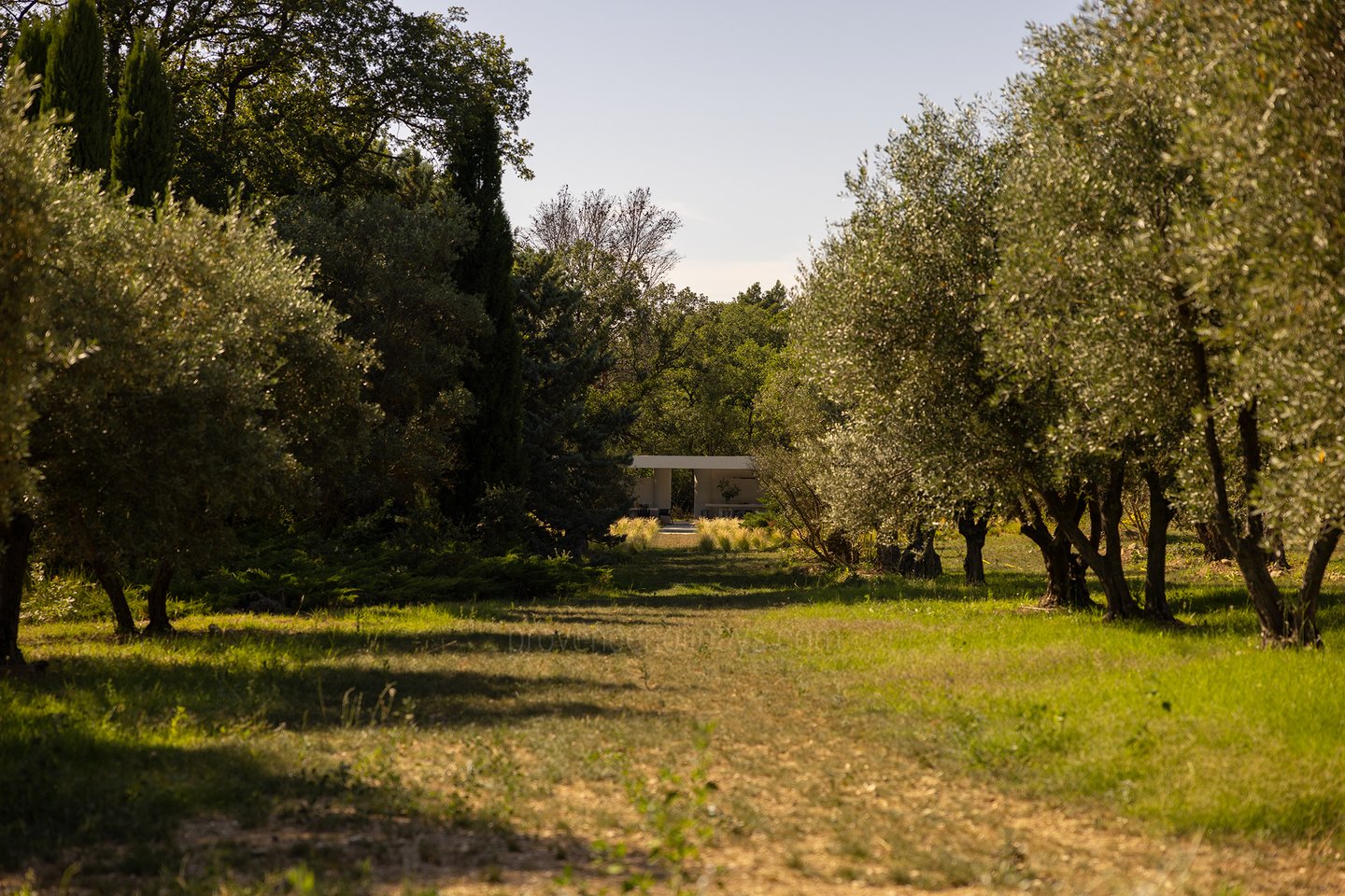 57 - Grand Mas de Provence: Villa: Exterior