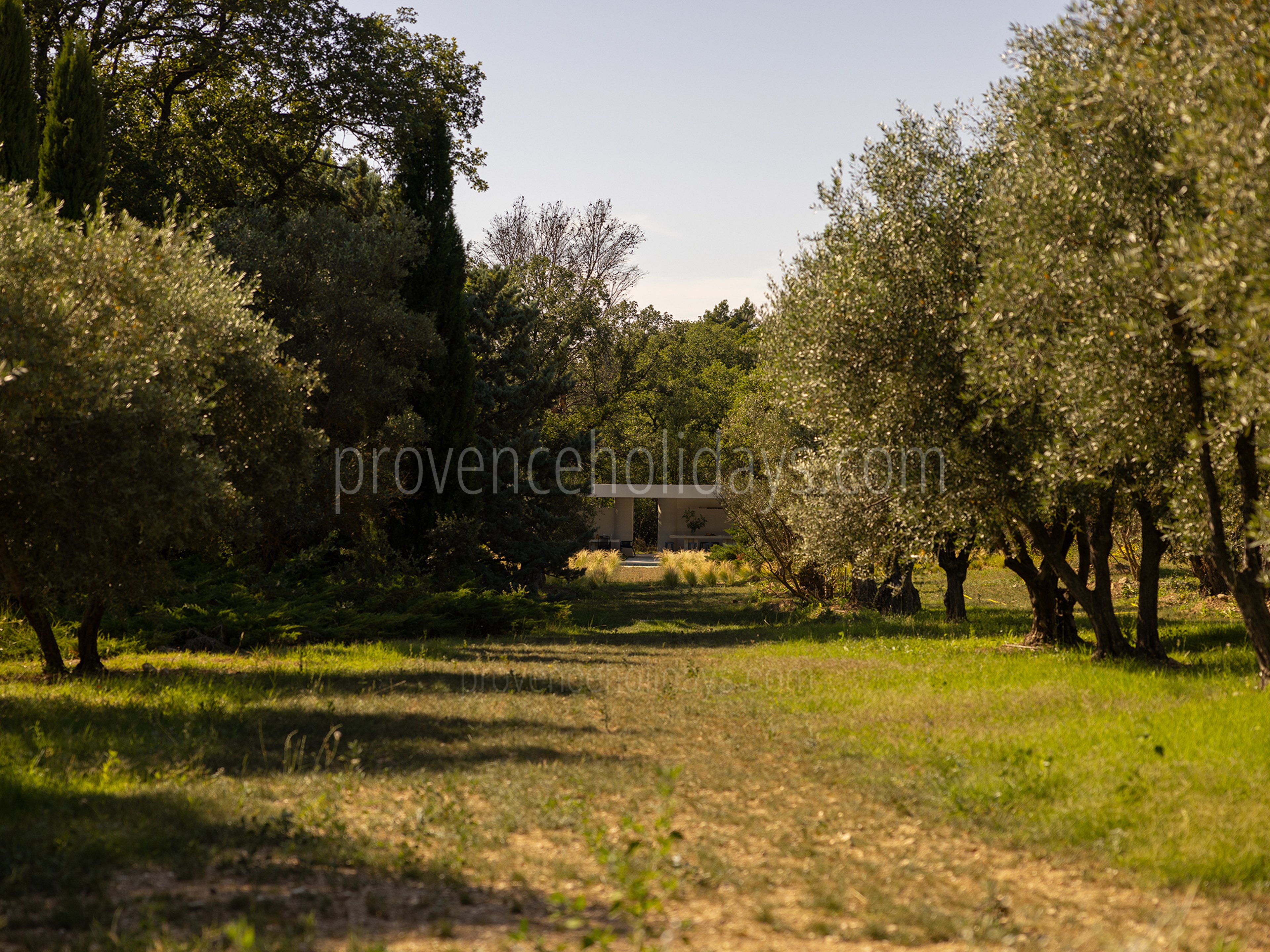 56 - Grand Mas de Provence: Villa: Exterior