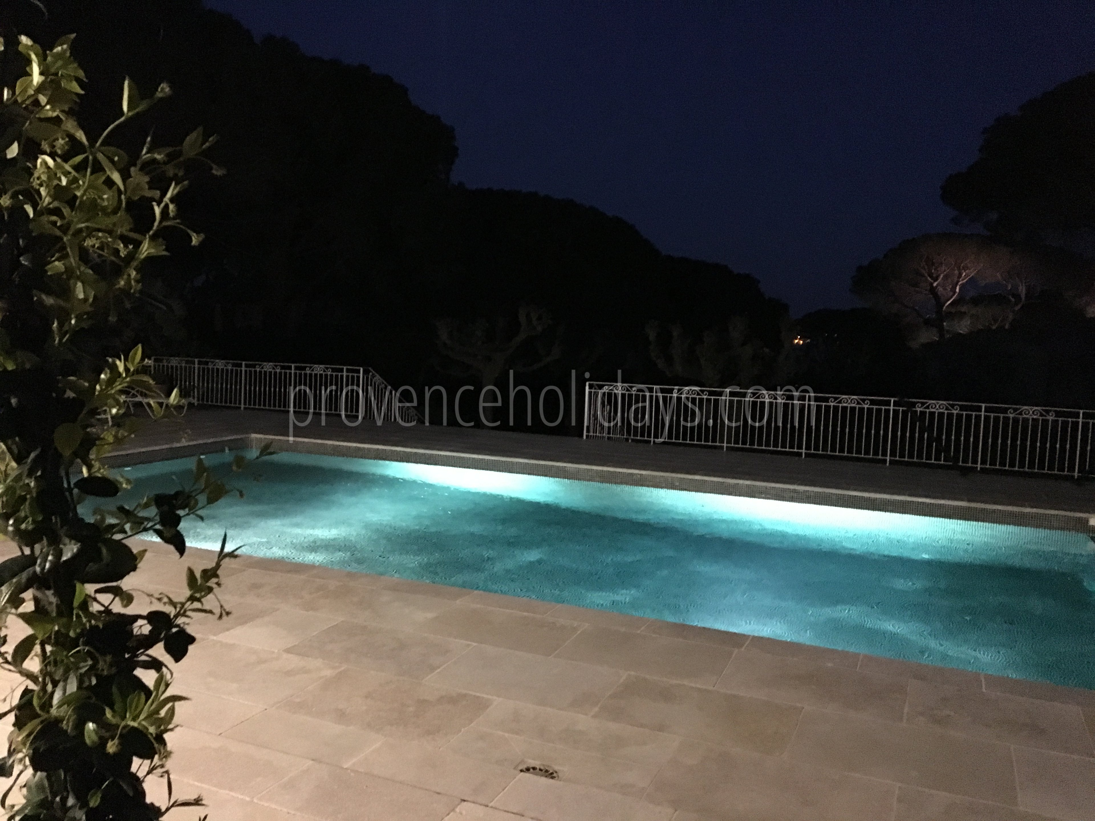 28 - Le Mas des Lys: Villa: Pool