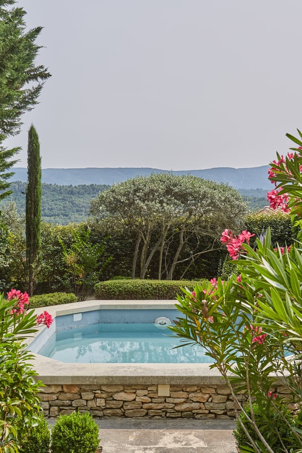 pool and greenery