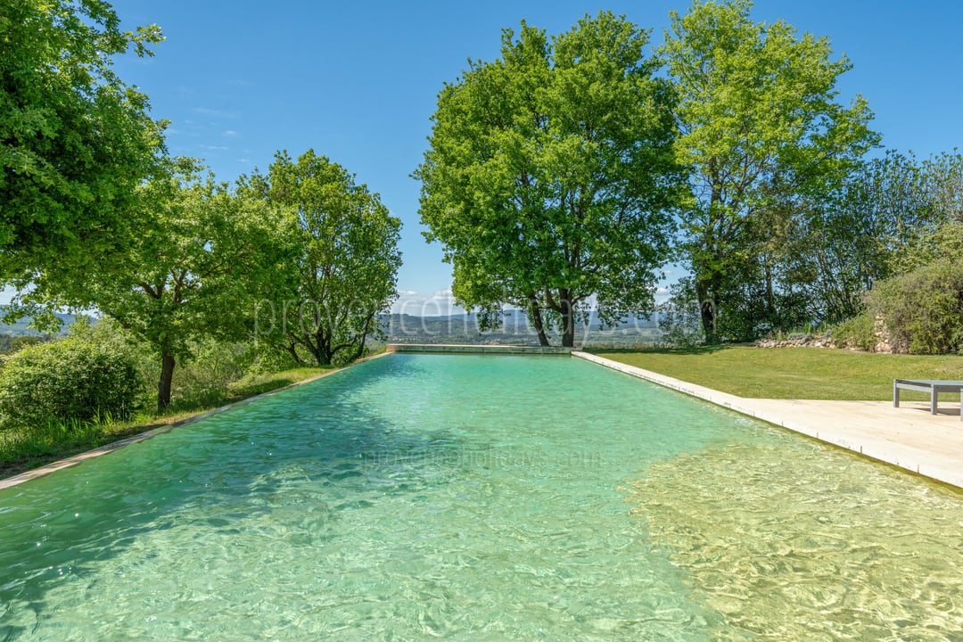 3 - Le Mas des Vignes: Villa: Pool