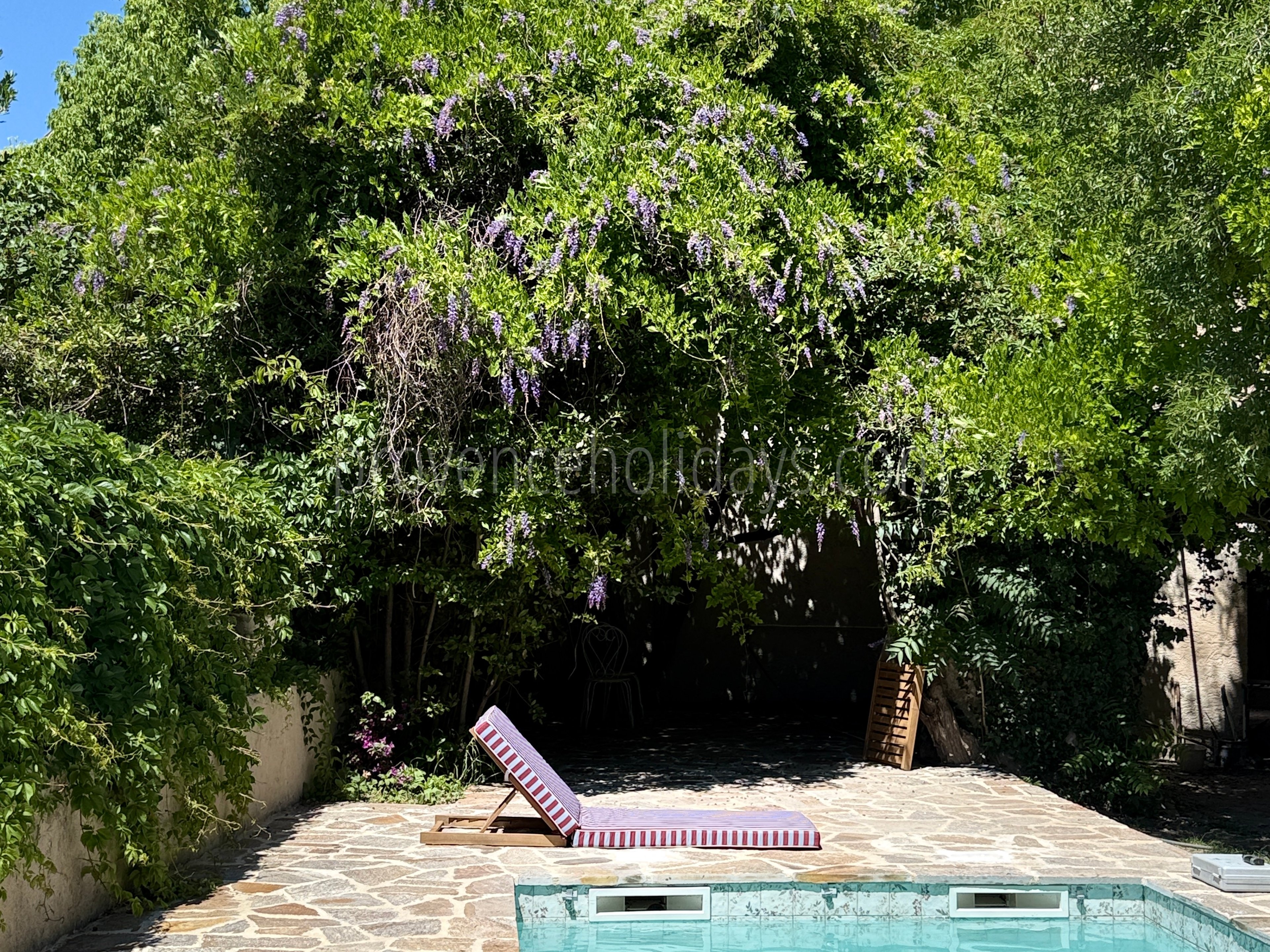 60 - Hotel Olivine: Villa: Exterior