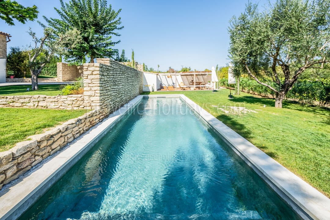 7 - Le Mas des Vignes: Villa: Pool