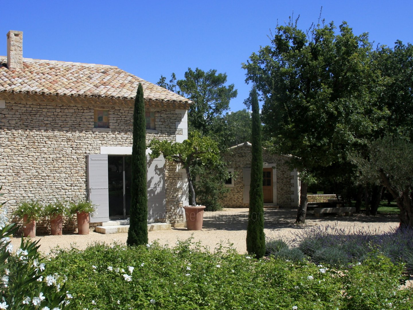 49 - Le Mas de la Pinède: Villa: Exterior