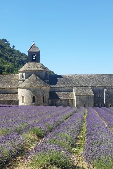 Senanque Abbey