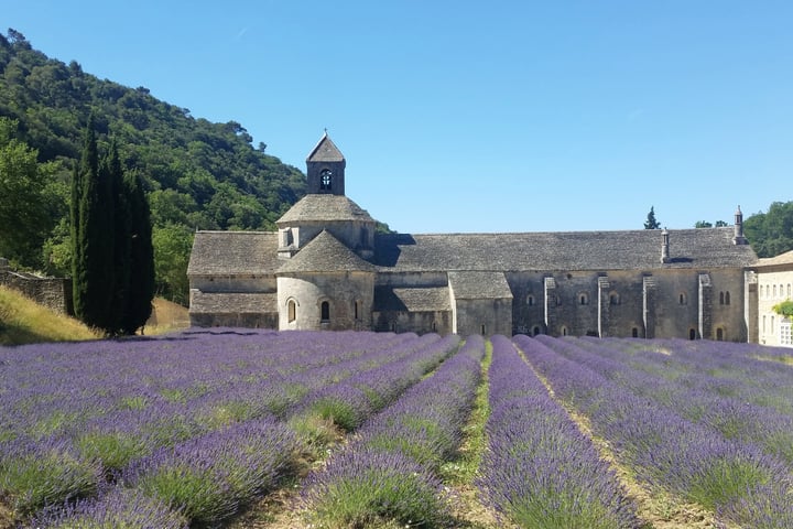 Visiter L'abbaye de Sénanque