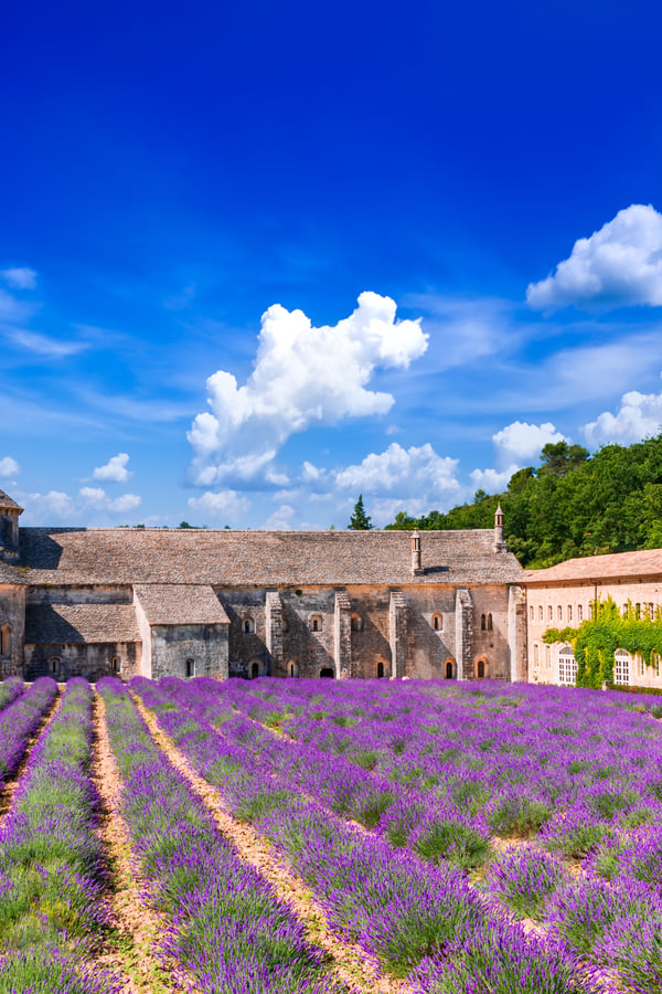 Abbaye de Senanque