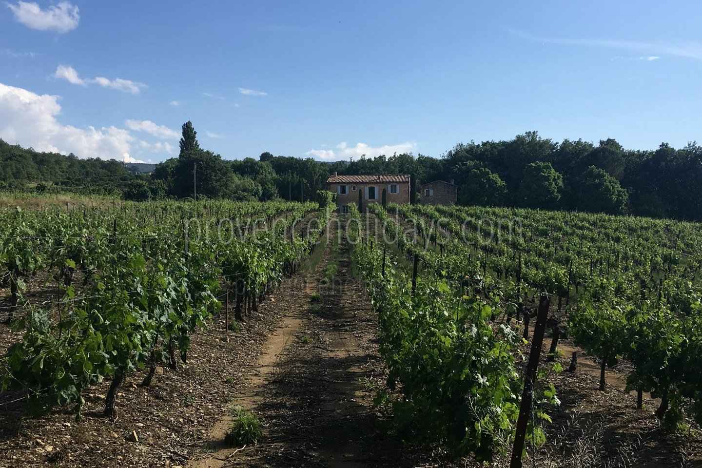 24 - Le Mas des Buis: Villa: Exterior