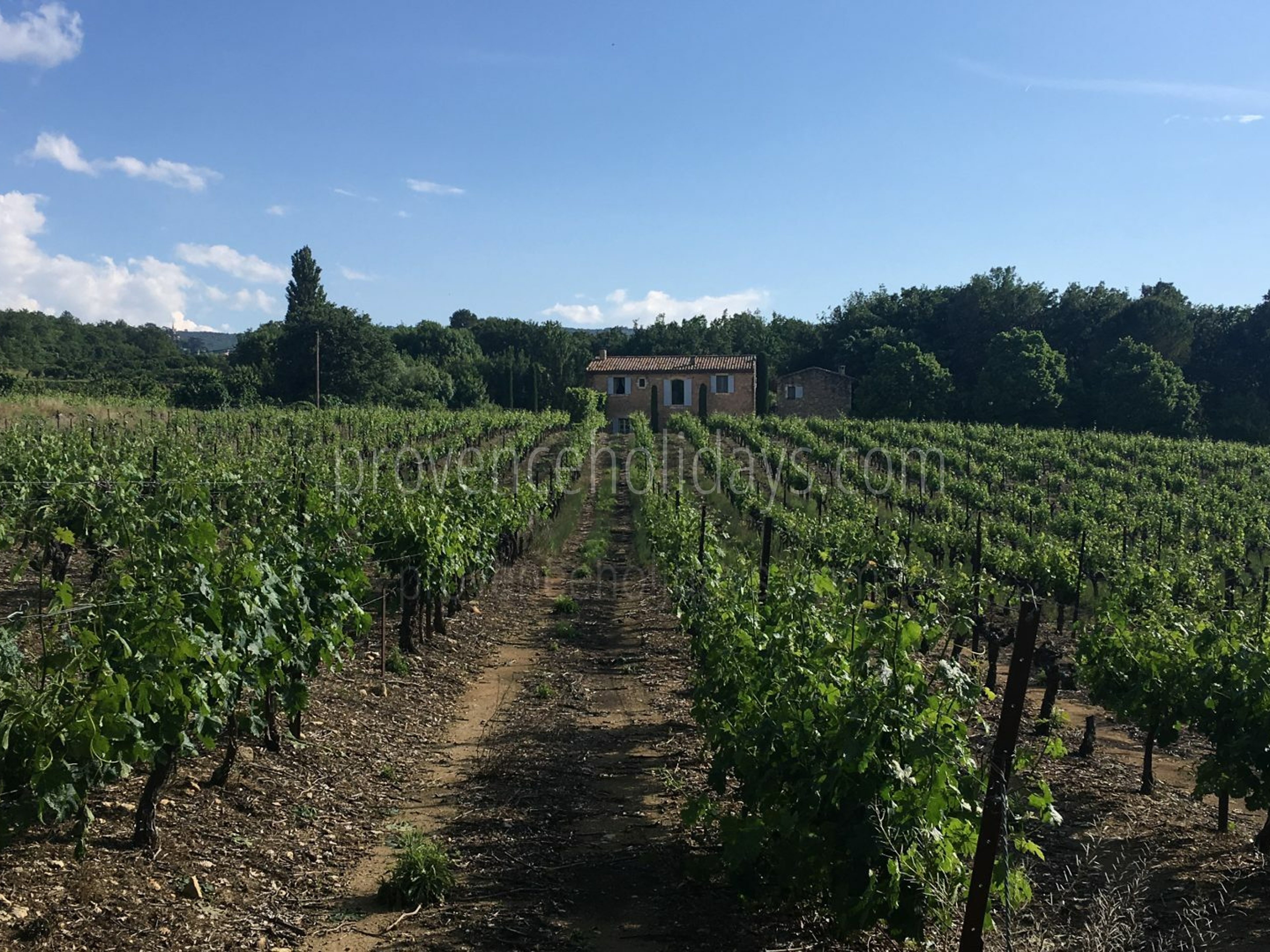 24 - Le Mas des Buis: Villa: Exterior