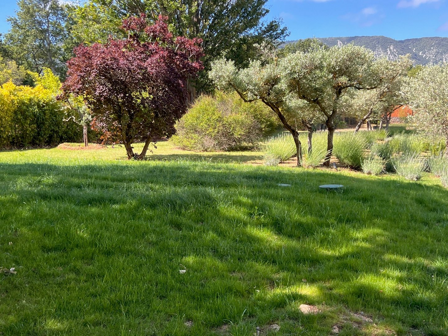 28 - Bastide Gergouven: Villa: Exterior