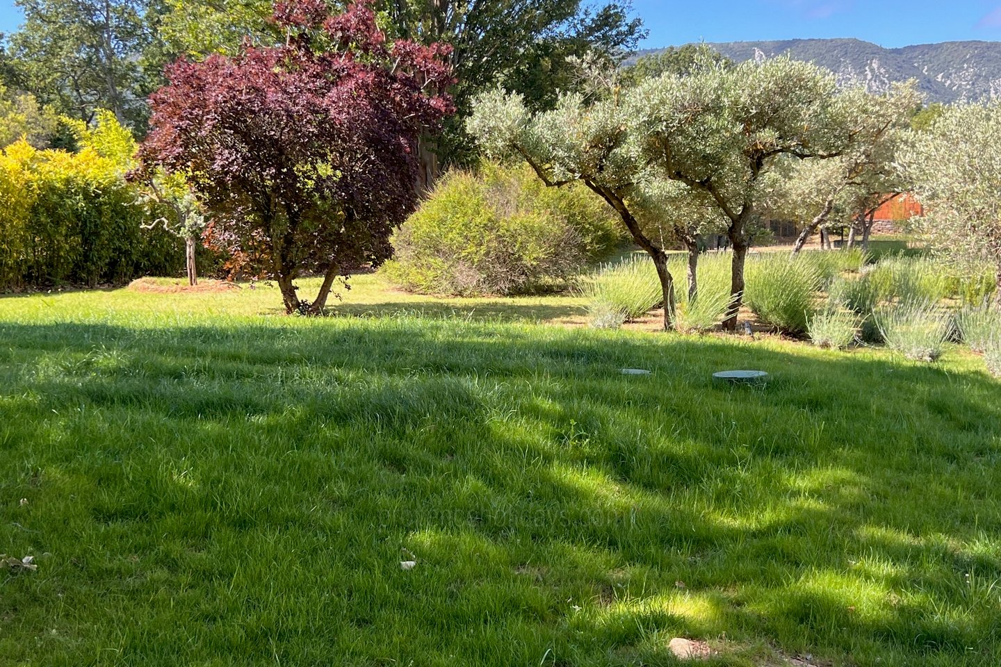 28 - Bastide Gergouven: Villa: Exterior