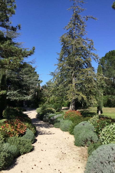 32 - Mas Tranquil: Villa: Exterior