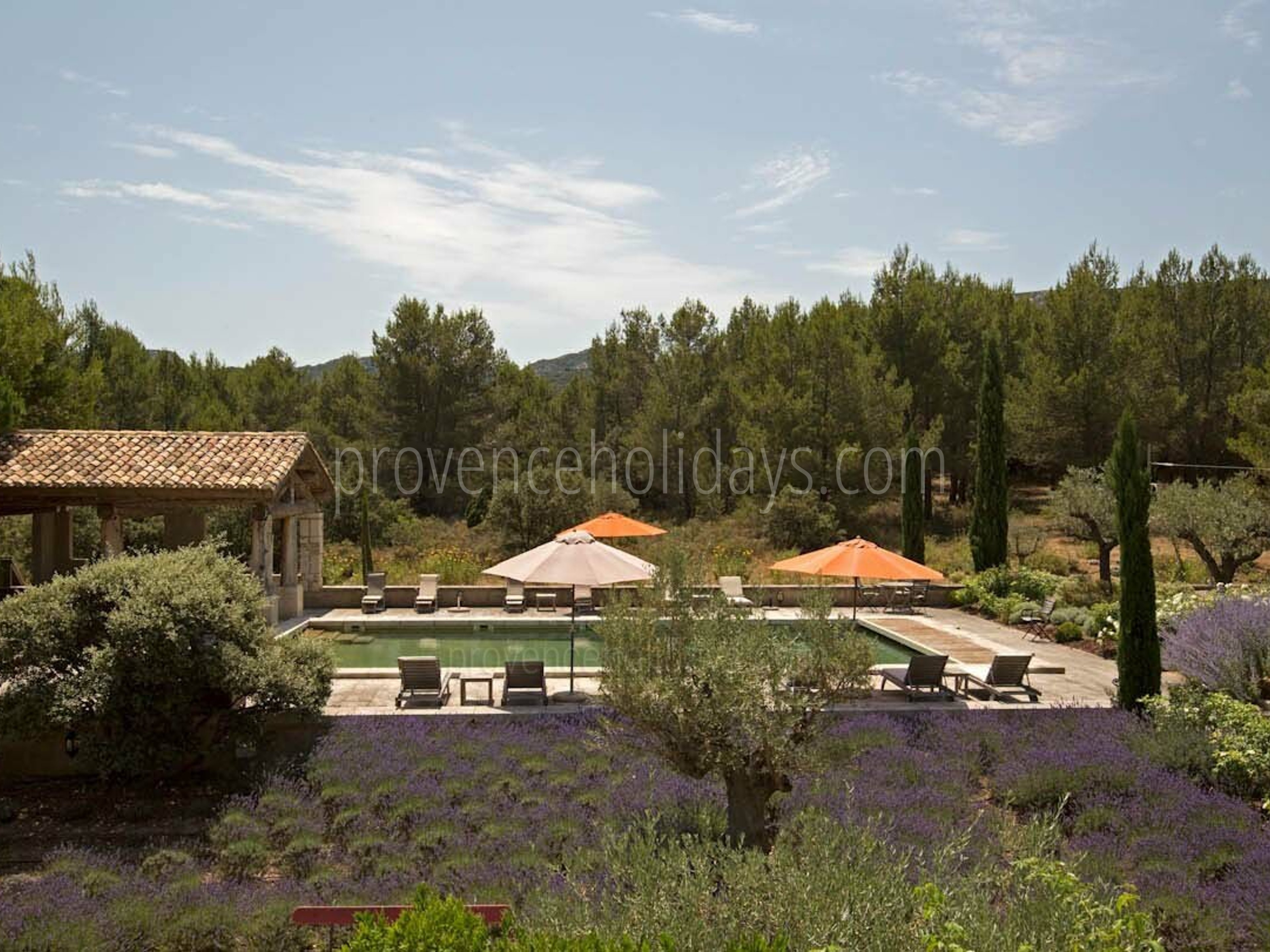 8 - Le Mas des Lavandes: Villa: Exterior