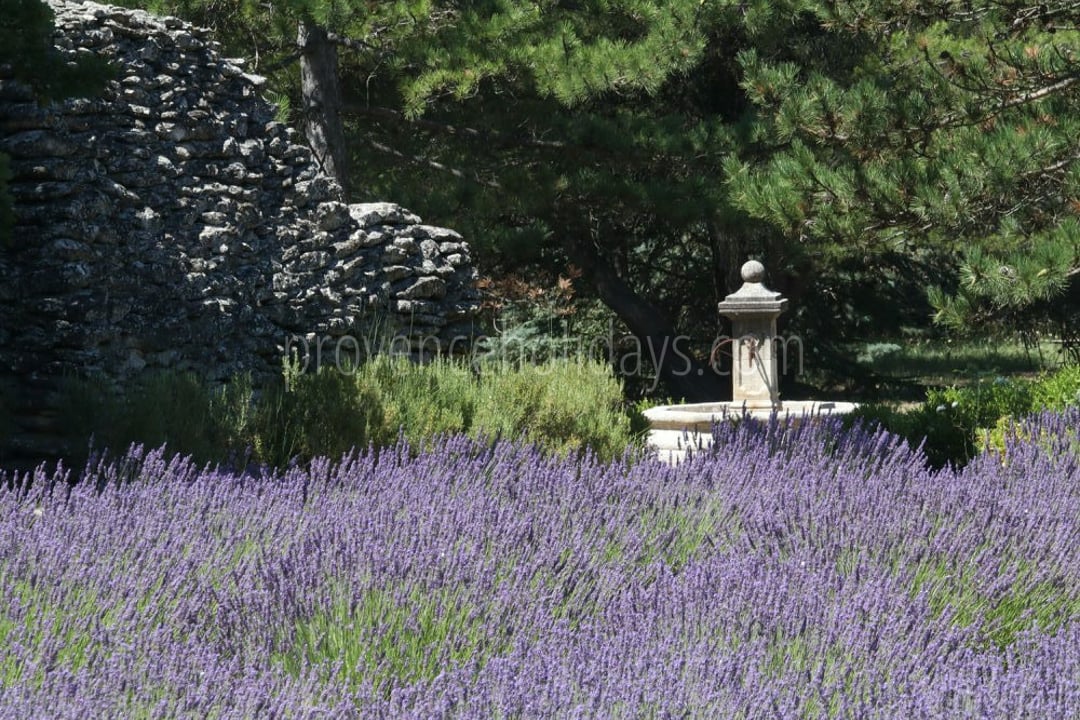 0 - Villa Lacoste: Villa: Exterior