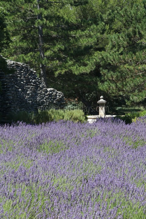 0 - Villa Lacoste: Villa: Exterior