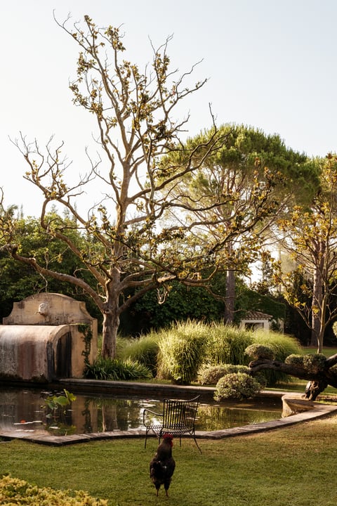 14 - Mas de Maussane: Villa: Exterior