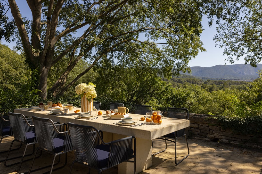 3 - Grand Mas de Provence: Villa: Exterior