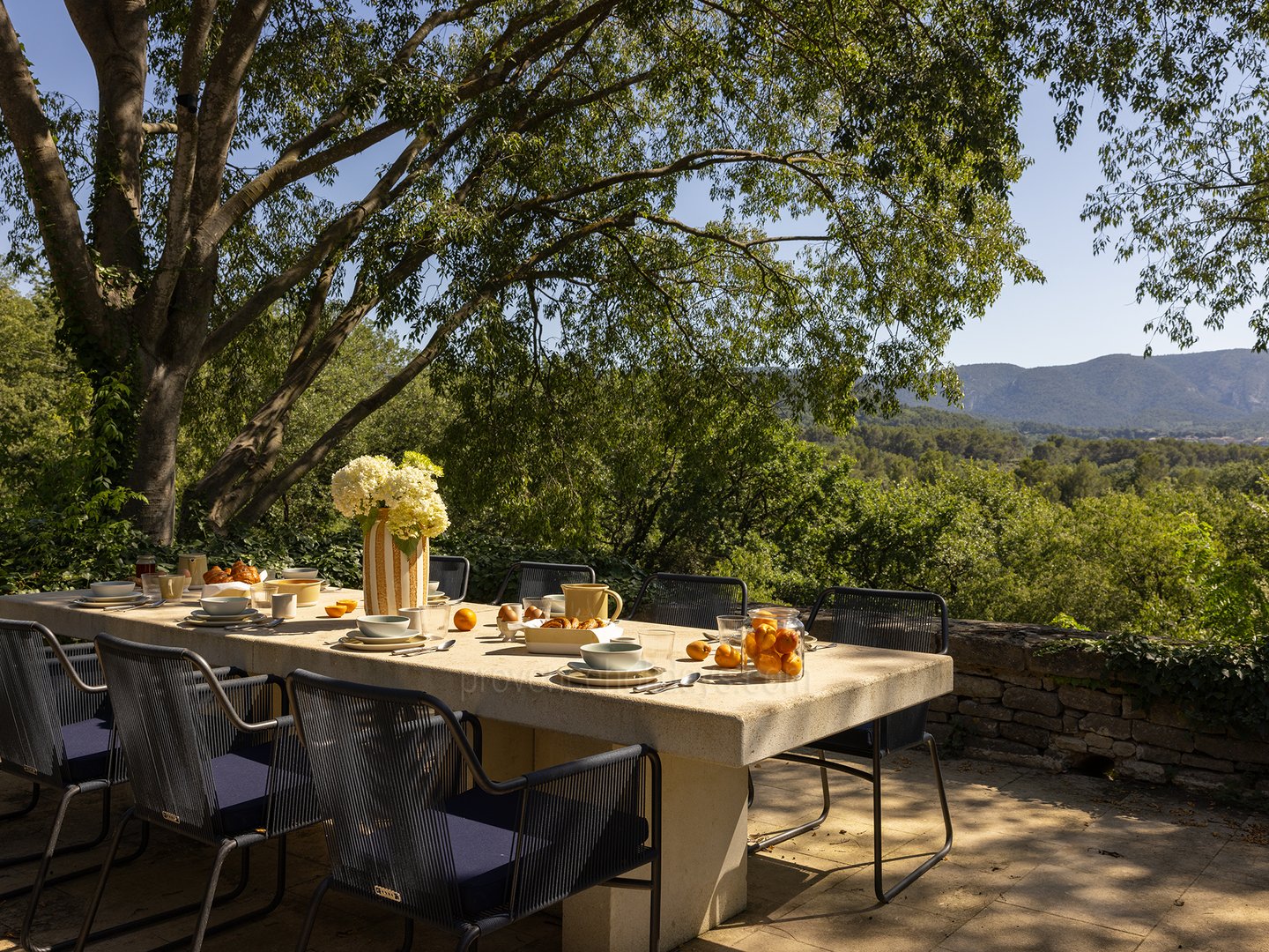 3 - Grand Mas de Provence: Villa: Exterior