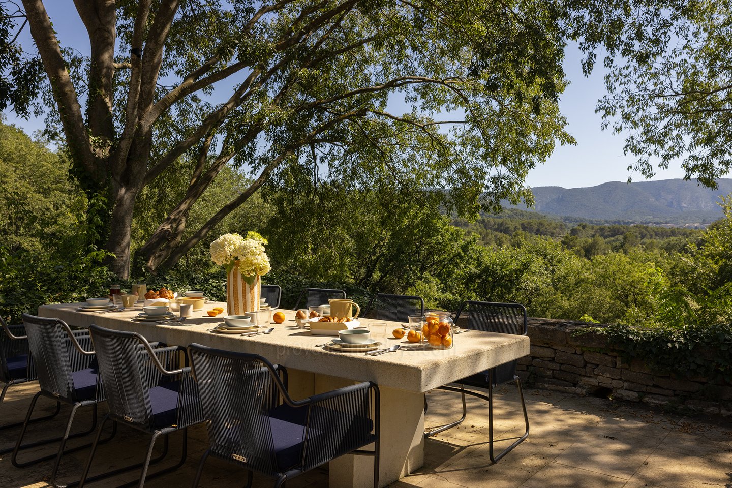 3 - Grand Mas de Provence: Villa: Exterior